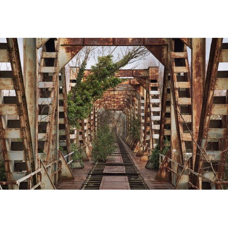 Postcard "Ponte Ferroviario"