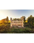 Wall calendar "La Grande Bellezza"