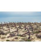 Fine Art Card "CEMETERIO DAS ANCORAS"