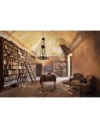 Kunstdruck / Wandbild "BIBLIOTHECA" -Bibliothek in Villa,Italien, LOST PLACES