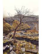 Fine Art Print "MORDOR" - Dinorwig slate quarries, Wales , LOST PLACES