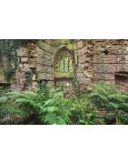 Kunstdruck / Wandbild "PRIORY", Schottland, Highlands, LOST PLACES