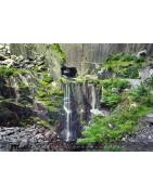 Wall calendar "SERENITY" about special and forgotten places