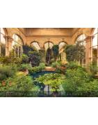 Wall calendar "SERENITY" about special and forgotten places