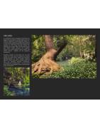 SERENITY - Bildkalender über außergewöhnliche Orte von Sven Fennema