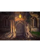 SILENCE is a photographic journey by Sven Fennema