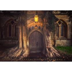 SILENCE is a photographic journey by Sven Fennema