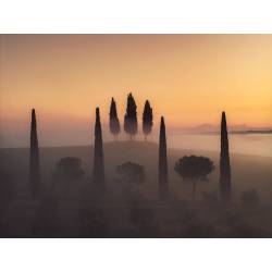 Kunstdruck / Wandbild "VAL D'ORCIA I"