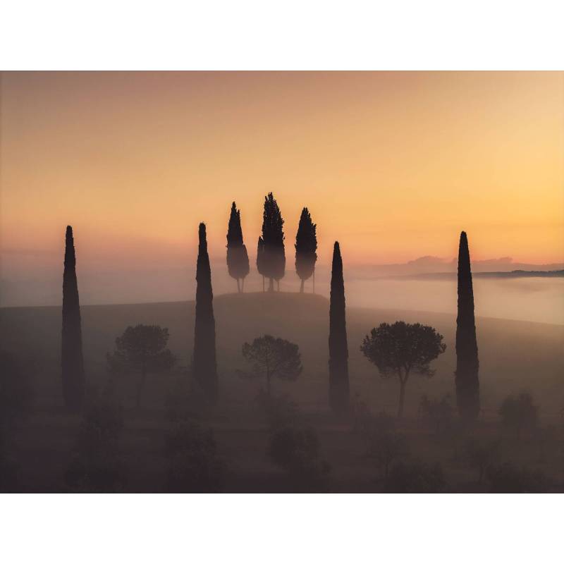 Fine Art Print "DARK HEDGES" - Northern Ireland