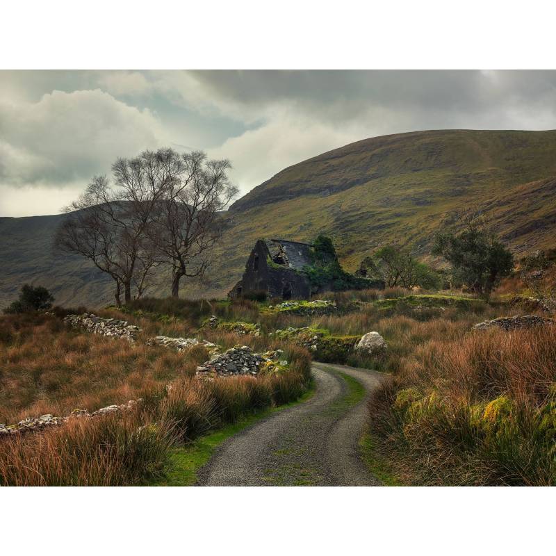 Kunstdruck / Wandbild "WE CAME TO DANCE"
